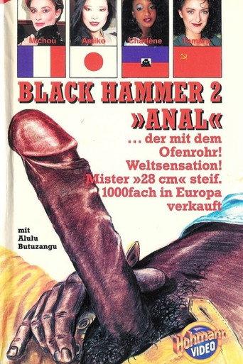 Le Marteau Pilon Anal (1991) poster