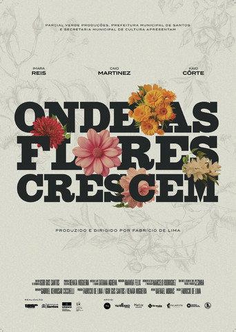 Onde as Flores Crescem (2025) poster
