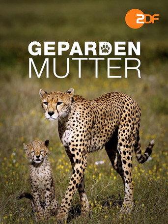 Gepardenmutter (2012) poster