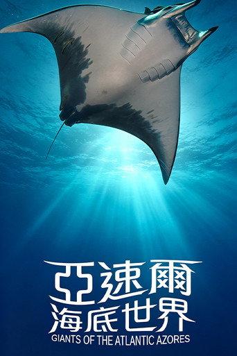 亚速尔海底世界 (2016) poster