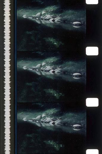Rivers of Darkness / Rivers of Light (1972) poster