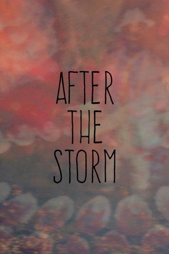 After the Storm (2017) poster