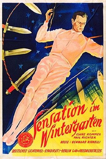 Their Son (1929) poster