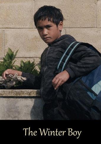 The Winter Boy (2010) poster