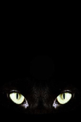 Halloween Claws (2026) poster