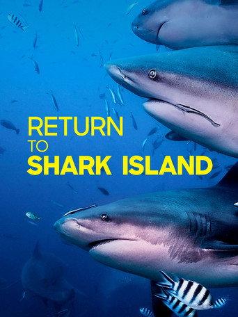 Return to Shark Island (2019) poster