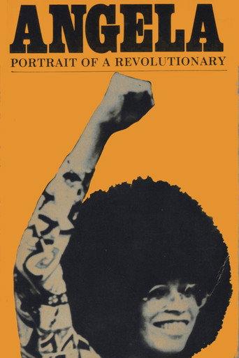 Angela Davis: Portrait of a Revolutionary (1972) poster