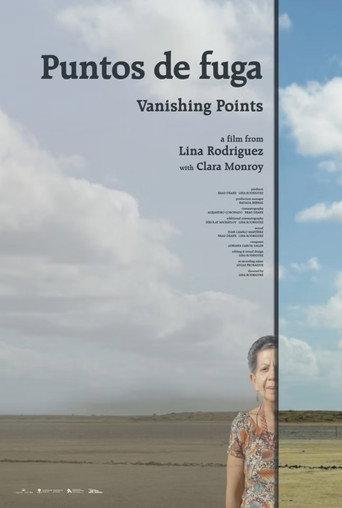 Vanishing Points (2025) poster
