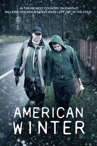 American Winter (2013) poster