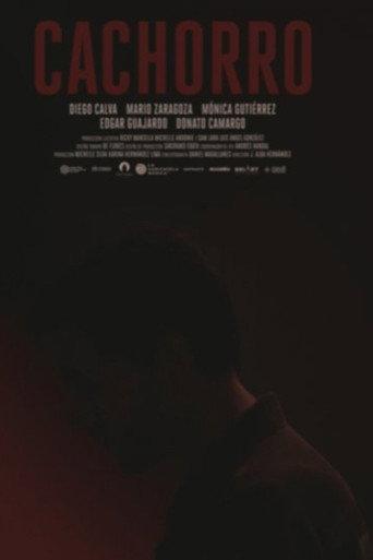 Cachorro (2020) poster