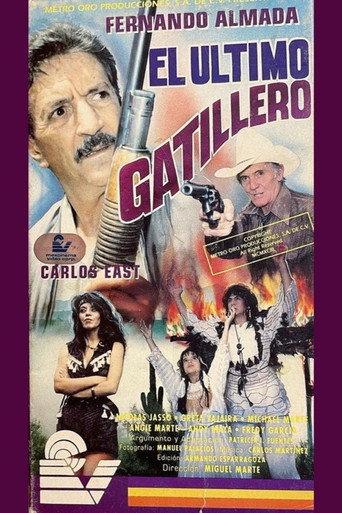 El último gatillero (1993) poster