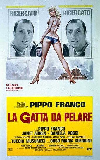 La gatta da pelare (1981) poster