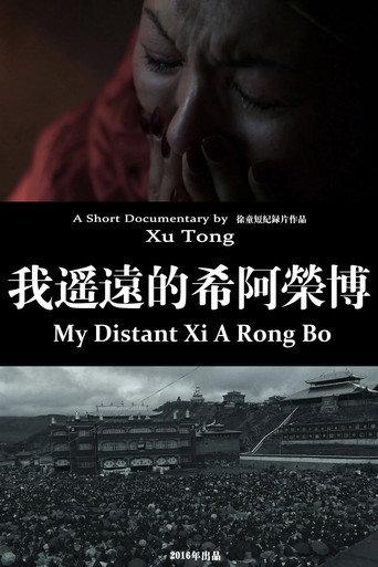 My Distant Xi A Rong Bo (2016) poster