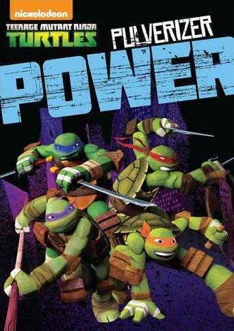 Teenage Mutant Ninja Turtles: Pulverizer Power (2015) poster