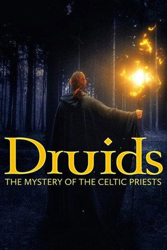 Druids: The Mystery of Celtic Priests (2021) poster