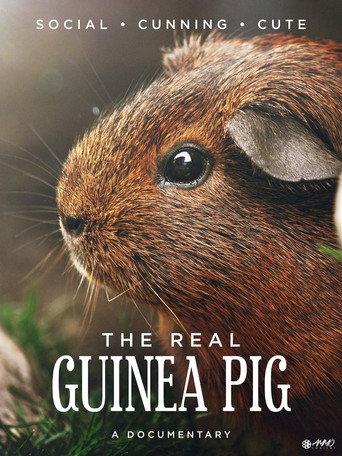 The Real Guinea Pig (2015) poster
