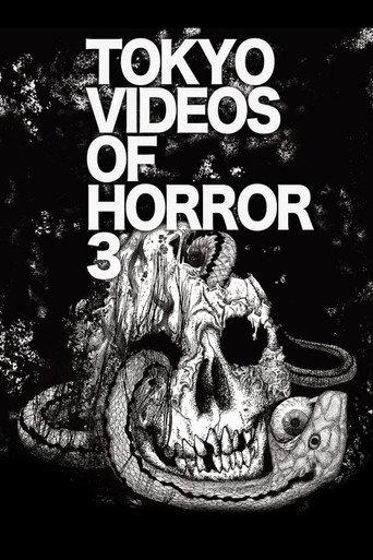 Tokyo Videos of Horror 3 (2012) poster
