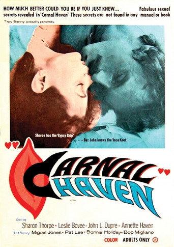 Carnal Haven (1978) poster