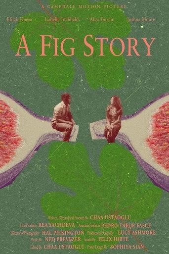 A Fig Story (2024) poster