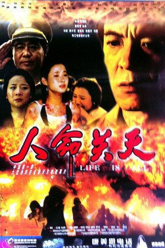 人命关天 (2001) poster