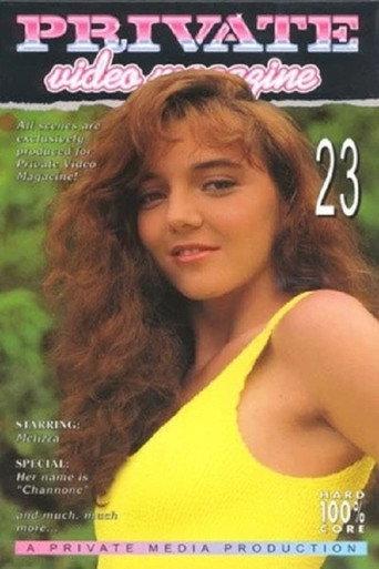 Private Video Magazine 23 (1995) poster