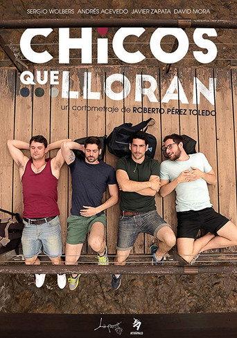 Chicos que lloran (2015) poster