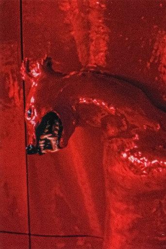 A Red Score in Tile (2003) poster