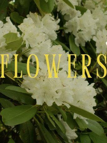 Flowers (2025) poster