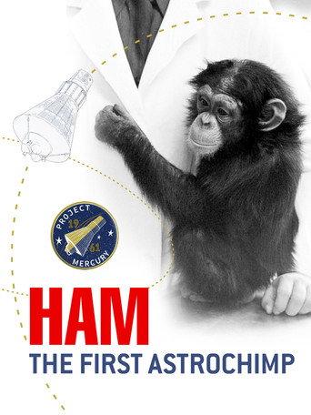 Ham: A Chimp into Space (2007) poster