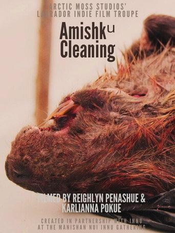 Harvesting Traditional Innu Foods: Amishkᵘ (2025) poster