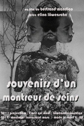 Memories of a Boobs Flasher (2014) poster