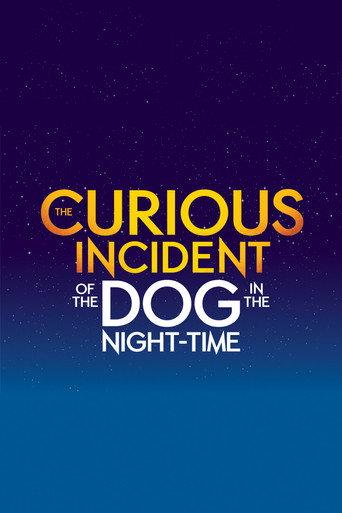 The Curious Incident of the Dog in the Night-Time () poster
