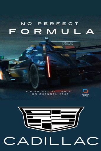 No Perfect Formula (2024) poster