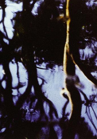 Corporeal (1983) poster