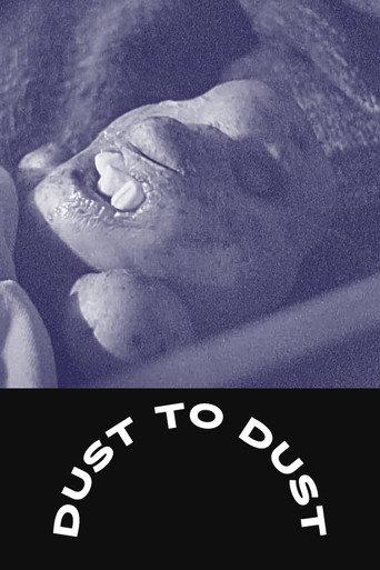 Dust To Dust () poster