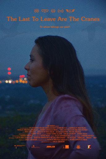 The Last to Leave Are the Cranes (2020) poster
