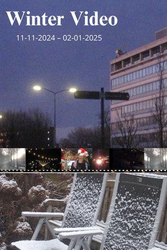 Winter Video (2025) poster