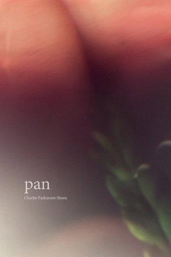 Pan () poster