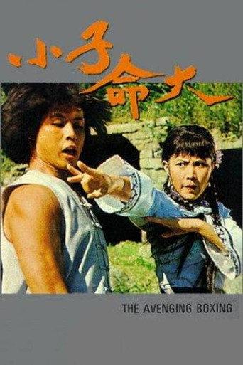 The Fearless Young Boxer (1979) poster