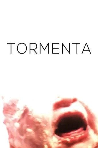 Storm (2021) poster