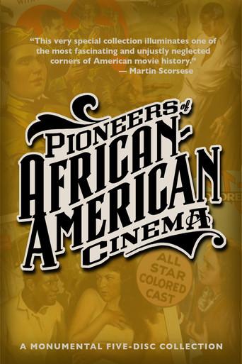 An Introduction: Pioneers of African-American Cinema (2016) poster