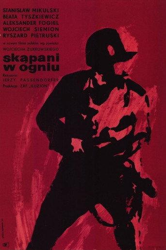 Skąpani w ogniu (1963) poster