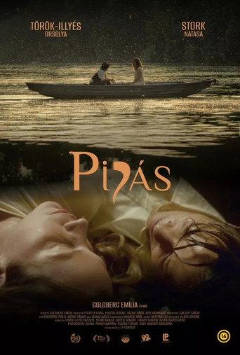 Mayflies (2026) poster