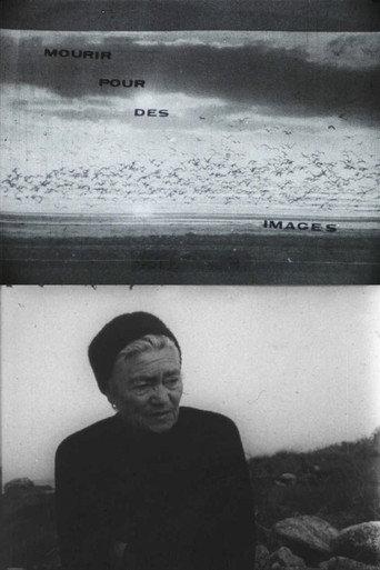 Mourir pour des images (1971) poster