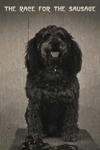 The Race for the Sausage (1907) poster