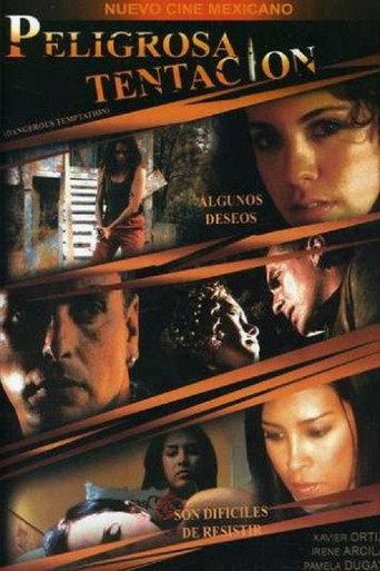 Peligrosa tentación (2008) poster