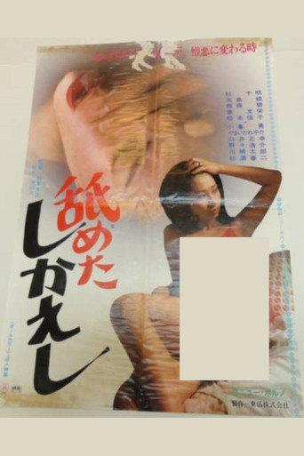 A Taste of Revenge (1981) poster