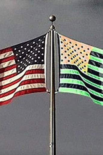 Flag and Its Shadow (2004) poster