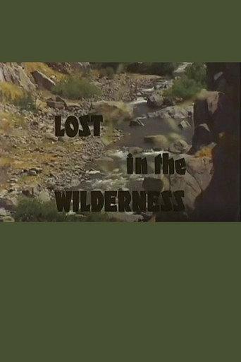Lost In The Wilderness () poster