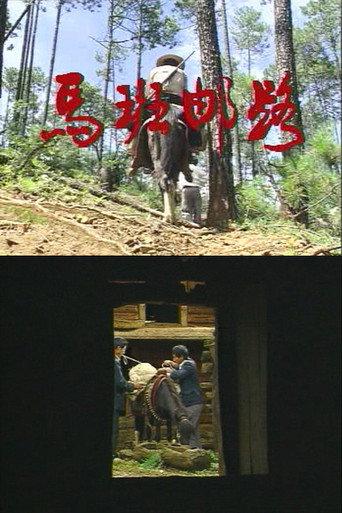 Pony Express (1995) poster